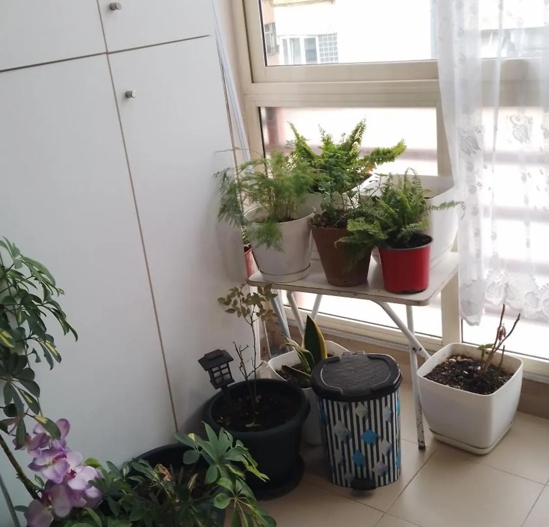 טיראנה Bora Home Albania Me Vetsherbim 24 Ore Prane Liqenit אלבניה