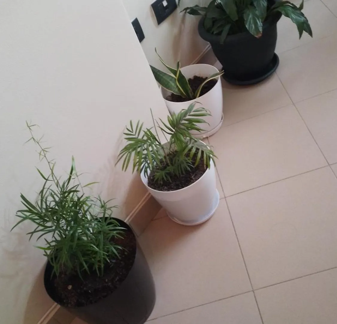 טיראנה Bora Home Albania Me Vetsherbim 24 Ore Prane Liqenit דירה