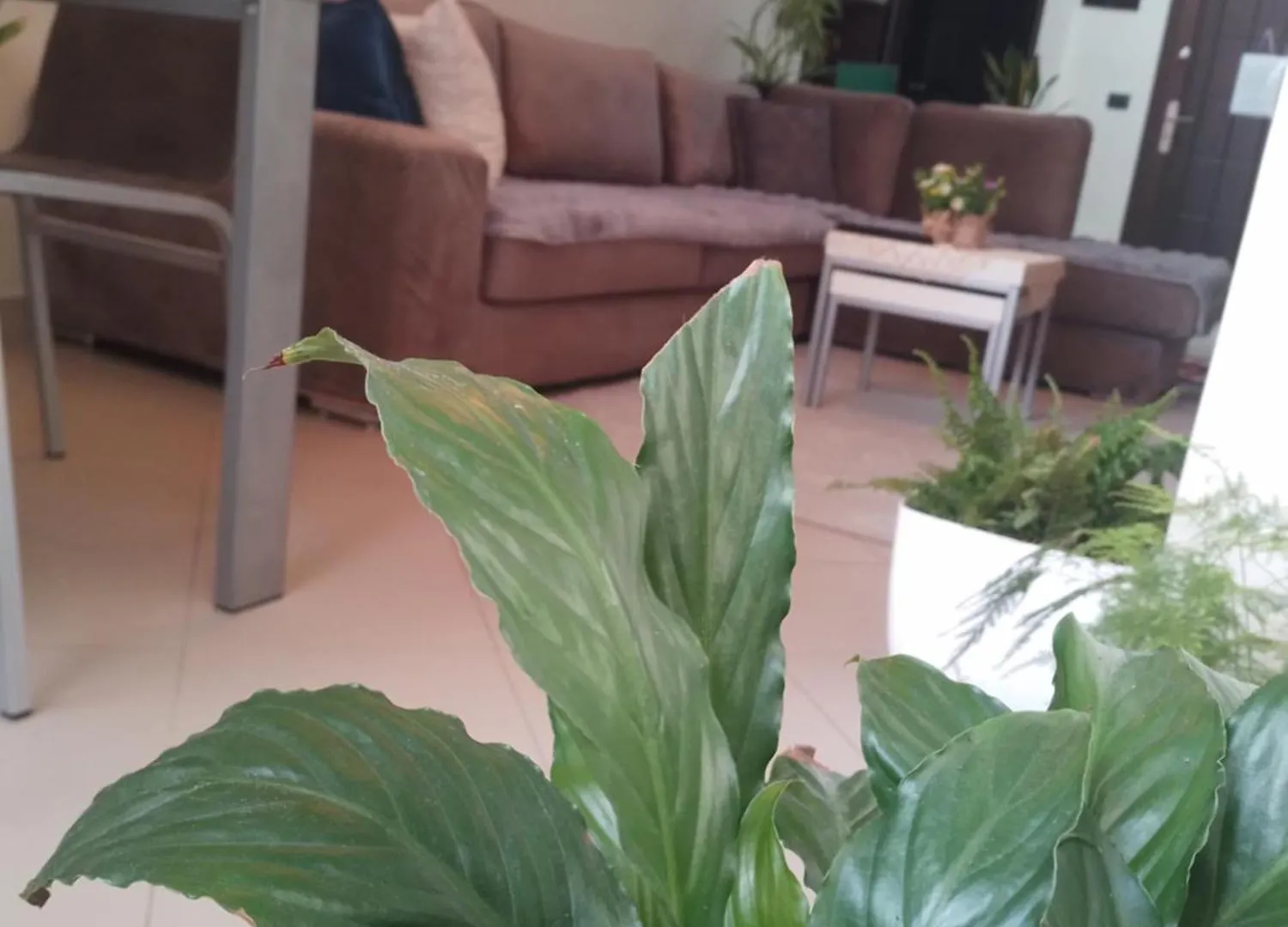 Bora Home Albania Me Vetsherbim 24 Ore Prane Liqenit Tirana 0*,